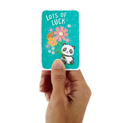 3.25" Mini Panda Bear With Flowers Good Luck Card for only USD 1.99 | Hallmark