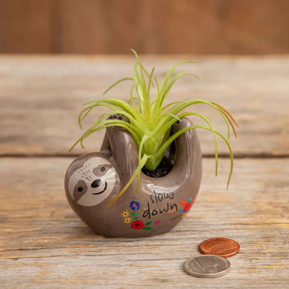 Natural Life Faux Succulent in Sloth Planter, 2" for only USD 16.99 | Hallmark