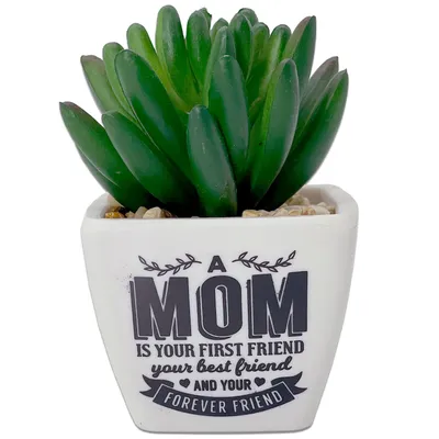 Faux Potted Succulent With Mom Message for only USD 9.99 | Hallmark