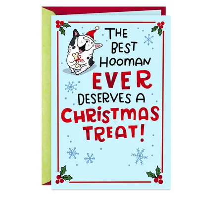 Best Hooman Ever Funny Christmas Card From Dog for only USD 2.99 | Hallmark