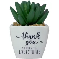 Faux Potted Succulent With Thank-You Message for only USD 9.99 | Hallmark