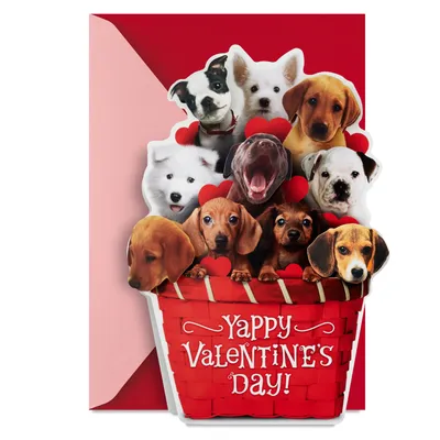 Puppy Dogs in Basket Funny Musical Valentine's Day Card for only USD 7.99 | Hallmark