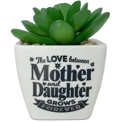 Faux Potted Succulent With Mom and Daughter Message for only USD 9.99 | Hallmark