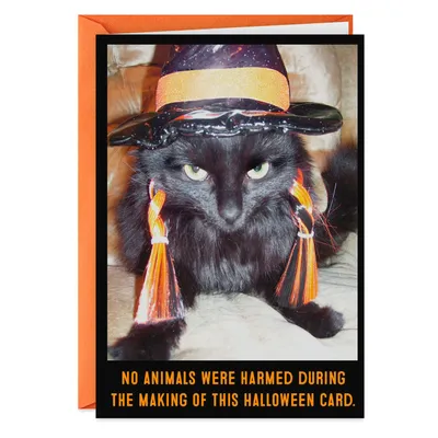 Unhappy Black Cat Witch Funny Halloween Card for only USD 3.69 | Hallmark
