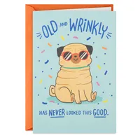 Old and Wrinkly Pug Funny Birthday Card for only USD 3.99 | Hallmark