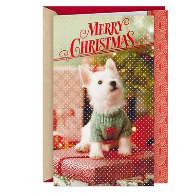 Sweet and Simple Joys Christmas Card for only USD 5.59 | Hallmark