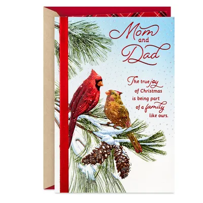 Mom and Dad, You've Given Me So Much Christmas Card for only USD 5.59 | Hallmark