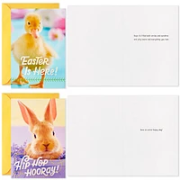 Cute Animals Boxed Easter Cards Assortment, Pack of 16 for only USD 9.99 | Hallmark