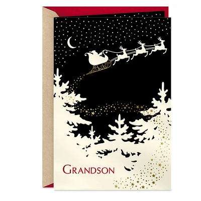 You're a Wonderful Grandson Christmas Card for only USD 5.59 | Hallmark