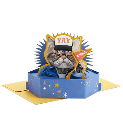 Kevin the Cat So Excited Funny 3D Pop-Up Card for only USD 7.99 | Hallmark