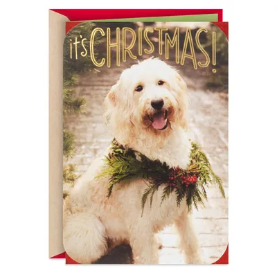 Warm and Fuzzy Holiday Wishes Christmas Card for only USD 5.59 | Hallmark