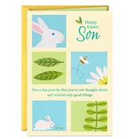 You're Wished Only Good Things Easter Card for Son for only USD 2.00 | Hallmark