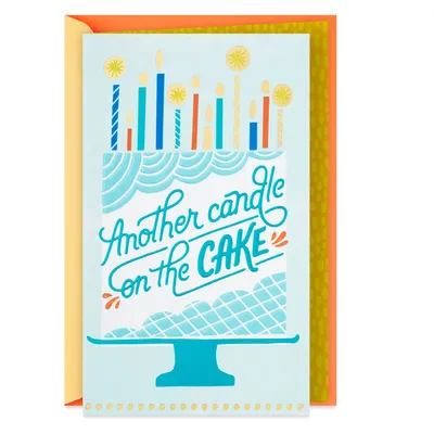 Another Candle on the Cake Birthday Card for only USD 4.59 | Hallmark