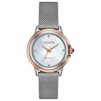 Women's Mesh Watch with Rose Gold-Tone Case in Stainless Steel