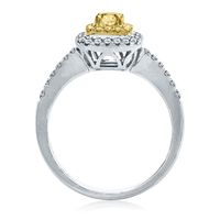 3/4 ct. tw. Yellow & White Diamond Ring 14K Gold