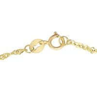 Singapore Chain Ankle Bracelet in 14K Yellow Gold