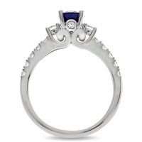 Shades of Love™ Sapphire & 1/2 ct. tw. Diamond Ring 14K White Gold