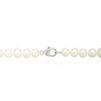 Freshwater Cultured Pearl Strand Necklace in Sterling Silver, 7-7.5MM, 18"
