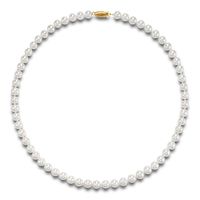 Cultured Freshwater Pearl Necklace in 14K Yellow Gold, 7mm, 18â