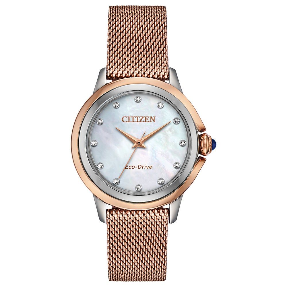 Women's Mesh Watch in Rose Gold-Tone Ion-Plated Stainless Steel