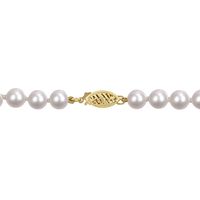 Akoya Pearl Necklace in 14K Yellow Gold, 6mm, 18â