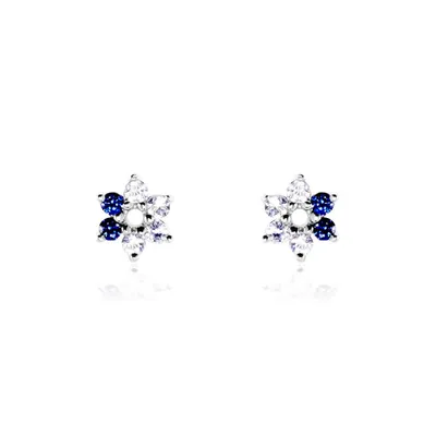 Boucles D'oreilles Puces Pavel Argent Blanc Oxyde De Zirconium