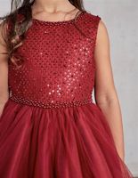 Sequin with Pearl Criss Cross Bodice Tulle Skirt