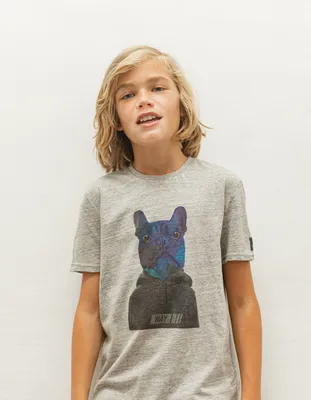 T-shirt gris visuel bouledogue-sweat garçon