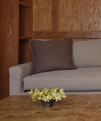 Adler Pillow