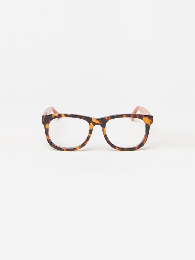 Barlett Readers Tortoise