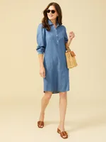 Randall Denim Dress