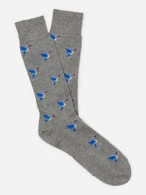 Socks in Hummingbird