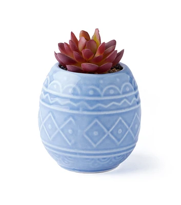 4" Blue Egg Potted Succulent by Happy Value