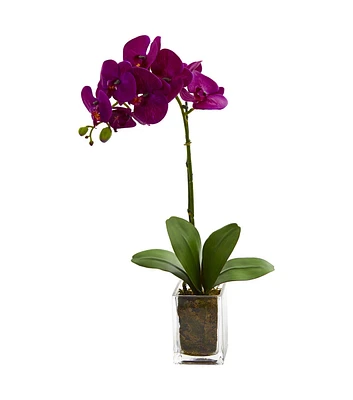 Nearly Natural 24" Spring Dark Purple Orchid Phalaenopsis Artificial Arrangement in Vase