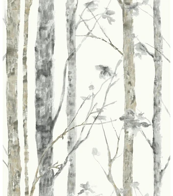 RoomMates Wallpaper Birch Trees