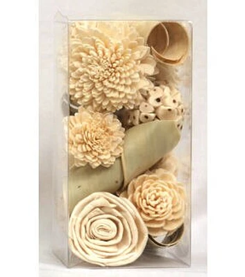 8" Cream Boxed Mixed Dried Flowers by Bloom Room