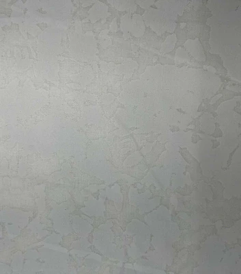 20195798 2 SALT DYE WHT ON WHT