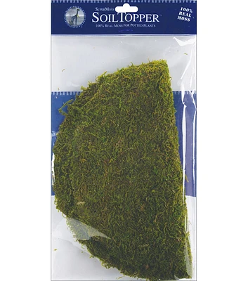 Moss Pot Toppers 12" 3/Pkg-Green