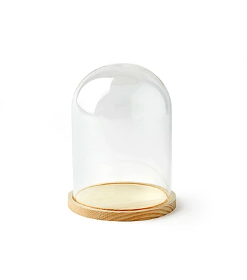 6" Dome Top Glass Terrarium by Park Lane