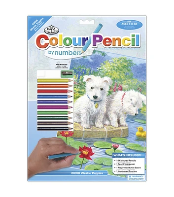 Royal Brush 8 3/4"x11 3/4" Colour Pencil By Number Westies