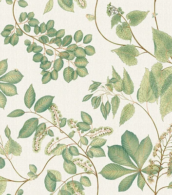 Surface Style 20.5' x 18' Olive Arboretum Botanical Peel & Stick Wallpaper