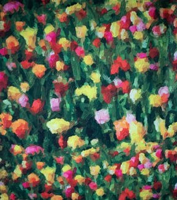 Multicolor Blurred Tulip Garden Rib Knit Fabric