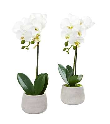 Nearly Natural Phalaenopsis Orchid Artificial Arrangement 2pc