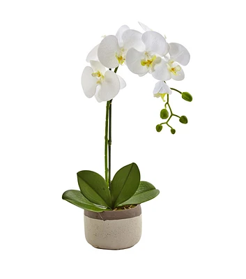 Nearly Natural Phalaenopsis Orchid in Ceramic Pot