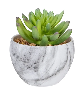 Northlight 4.25" Green Artificial Succulent in Faux Marble Pot