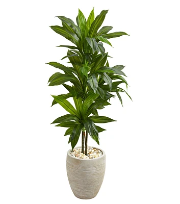 Nearly Natural 4ft. Dracaena Plant in Sand Colored Planter