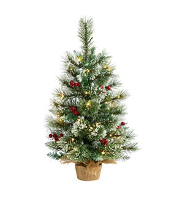 Nearly Natural 2' Warm White Pre Lit Snowy Tipped Pine Christmas Tree