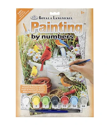 Junior Small Paint by Number Kit 8.75"x11.75" Garden Birds