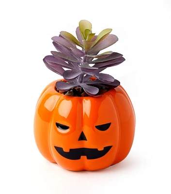 4" Halloween Pumpkin Succulent by Happy