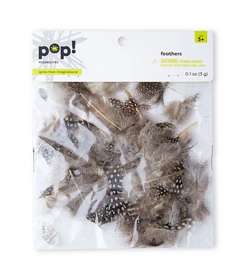 POP! Guinea Hen Plumage Natural Feathers 0.1oz